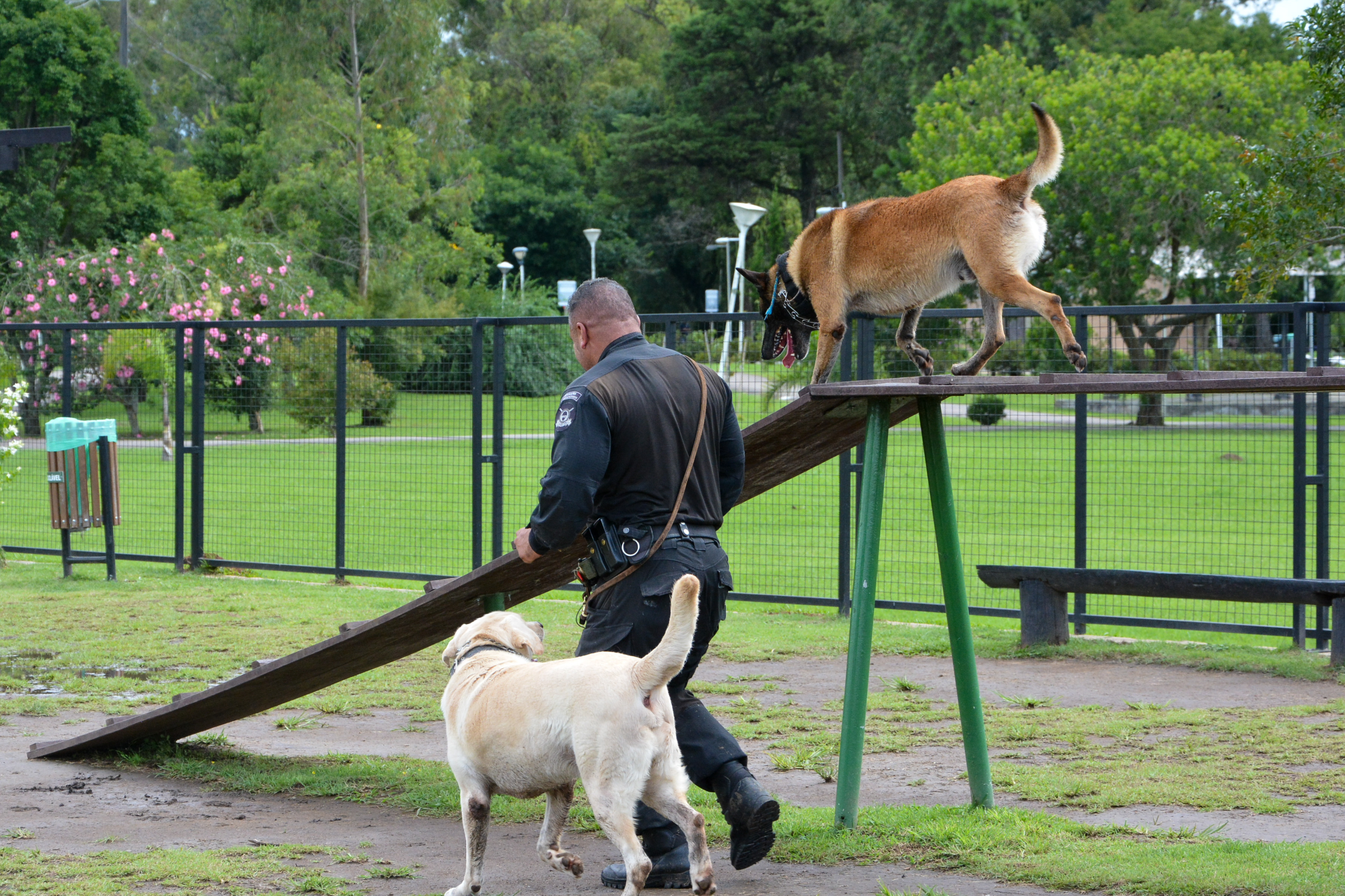 1ª Cãominhada das Forças Policiais movimentará São José dos Pinhais neste domingo