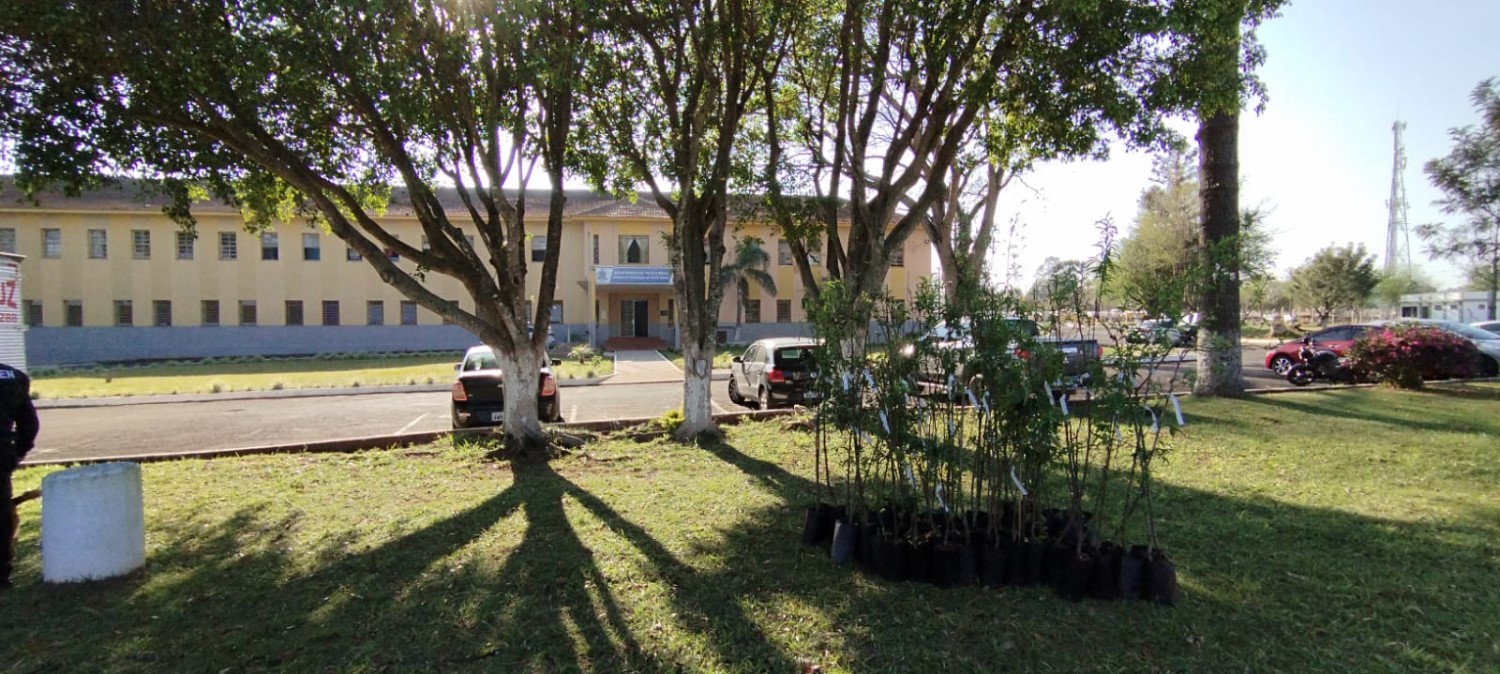 150 árvores frutíferas são plantadas em Unidade de Progressão de Ponta Grossa