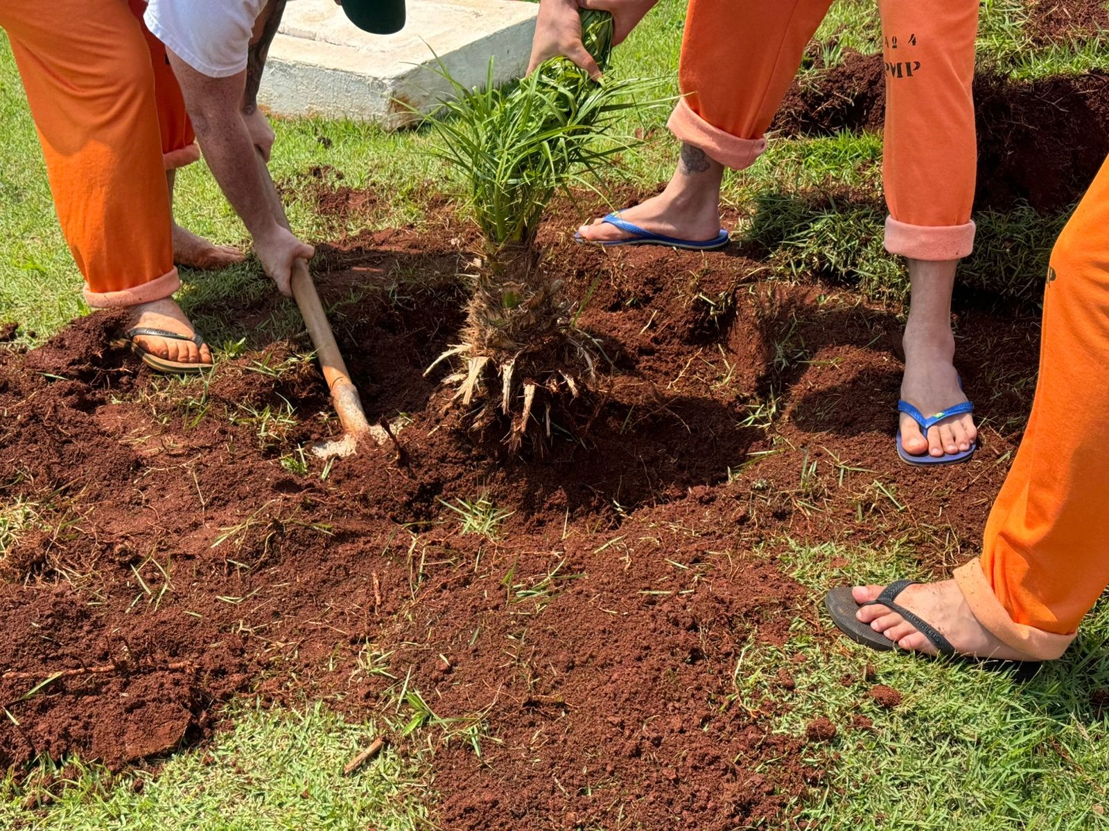 Capacitação em jardinagem prepara pessoas privadas de liberdade para o mercado de trabalho em Cascavel