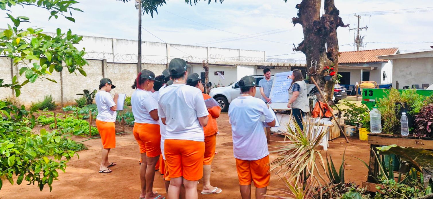 Cadeia Pública Feminina de Alto Paraná conclui curso de qualificação em olericultura
