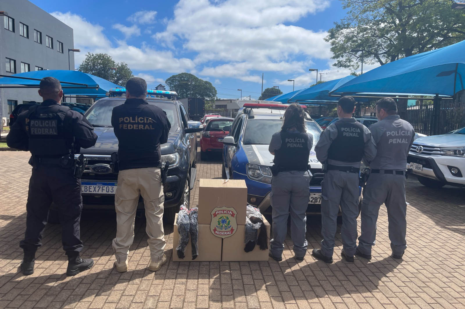 Custodiadas de Goioerê vão produzir cerca de 2 mil perucas com cabelo apreendido pela PRF