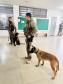 Polícia Penal faz apresentação com cães em escola municipal de Paiçandu em homenagem ao Dia das Crianças