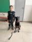 Polícia Penal faz apresentação com cães em escola municipal de Paiçandu em homenagem ao Dia das Crianças