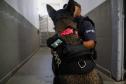 Cães da Polícia Penal reforçam segurança no Litoral durante o Verão Maior Paraná