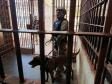 Polícia Penal do Paraná reforça segurança penitenciária durante a 11ª fase da Operação Mute 