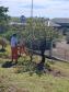 Curso de jardinagem na PIMP-UP transforma rotina e cultiva novos caminhos dentro do cárcere