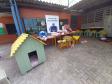Projeto Pipoca: Detentos produzem materiais para animais de rua, na Cadeia Pública de Toledo (PR)