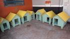 Projeto Pipoca: Detentos produzem materiais para animais de rua, na Cadeia Pública de Toledo (PR)