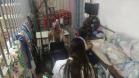 Projeto Pipoca: Detentos produzem materiais para animais de rua, na Cadeia Pública de Toledo (PR)