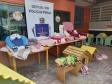 Projeto Pipoca: Detentos produzem materiais para animais de rua, na Cadeia Pública de Toledo (PR)