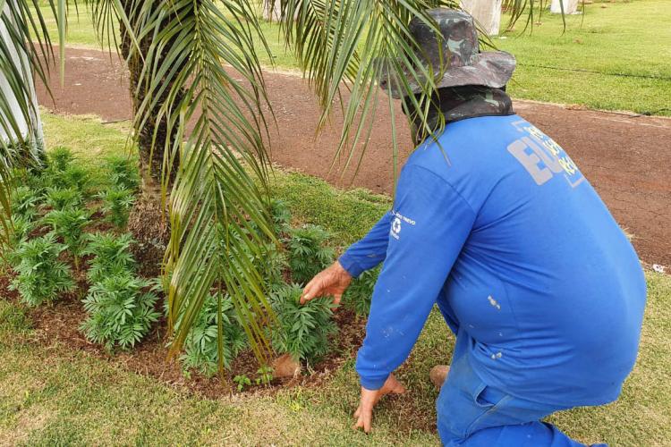 Custodiados de Cascavel trabalham na preparação do 35° Show Rural