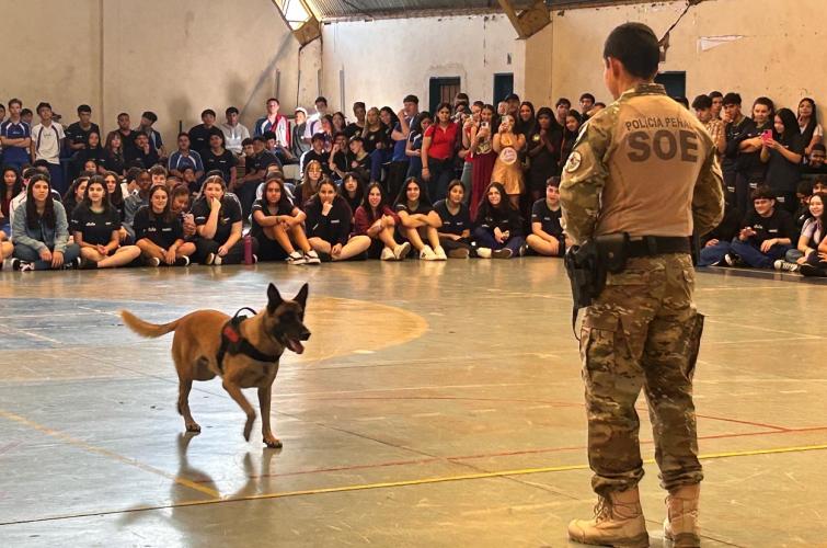 Polícia Penal do Paraná