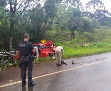 Uma família de três pessoas foi salva de um acidente na PR 466, no Km 248, em Manoel Ribas, por integrantes do Departamento de Polícia Penal (Deppen) enquanto voltavam de uma operação policial, na última terça-feira (05/01). As equipes compostas por integrantes do Grupo de Segurança Interna (GSI) da Penitenciária Industrial de Guarapuava (PIG) e das Cadeias Públicas de Pitanga e Guarapuava foram as primeiras a chegarem no local e ajudar no resgate da família, imediatamente após o ocorrido. 