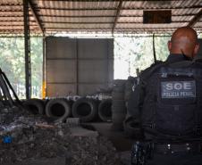 Mão de obra prisional transforma pneus usados em matéria-prima para asfalto no Paraná