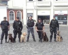 Polícia Penal do Paraná