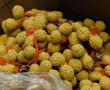 Polícia Penal do Paraná