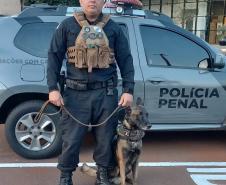 Polícia Penal do Paraná