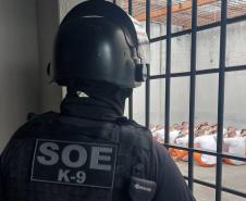 Polícia Penal do Paraná