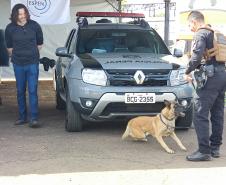 Polícia Penal expõe ações de custódia e reinserção social de apenados na ExpoGoio 2024