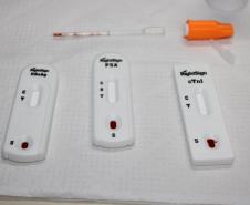 Polícia Penal do Paraná