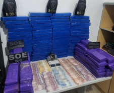 Polícia Penal apoia BPRone com cão K9 em operação que apreendeu mais de 100 kg de maconha