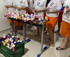 156 amigurumis feitos por apenadas foram doados para Apae, em Alto Paraná