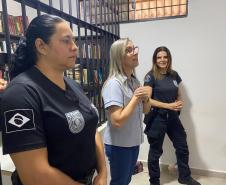 156 amigurumis feitos por apenadas foram doados para Apae, em Alto Paraná