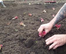 Polícia Penal do Paraná