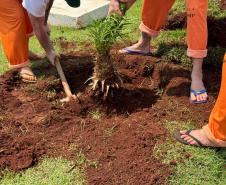 Capacitação em jardinagem prepara pessoas privadas de liberdade para o mercado de trabalho em Cascavel
