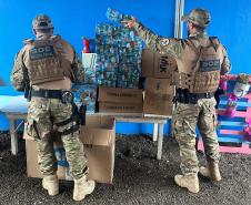 Polícia Penal do Paraná