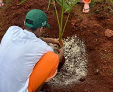 Capacitação em jardinagem prepara pessoas privadas de liberdade para o mercado de trabalho em Cascavel