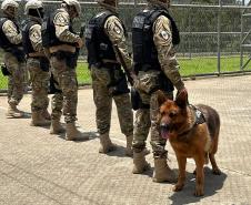 Polícia Penal do Paraná