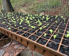 Polícia Penal do Paraná