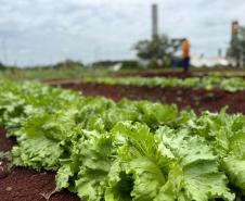 Polícia Penal do Paraná
