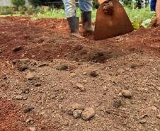 Polícia Penal do Paraná