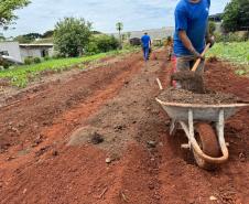 Polícia Penal do Paraná