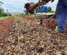 Polícia Penal do Paraná