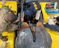 Polícia Penal do Paraná
