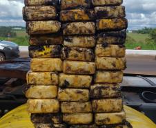 Polícia Penal do Paraná