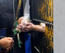 Polícia Penal do Paraná