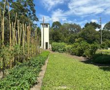 Horta no Complexo Médico Penal promove sustentabilidade e ocupação para custodiados