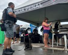 Polícia Penal do Paraná encerra exposições no Verão Maior Paraná com lançamento de banda