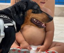 Polícia Penal do Paraná