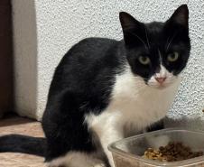 Polícia Penal do Paraná