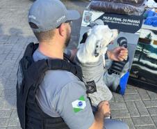 Polícia Penal do Paraná