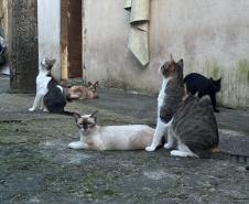 Polícia Penal do Paraná