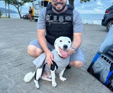 Polícia Penal do Paraná