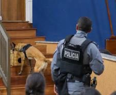 Polícia Penal do Paraná