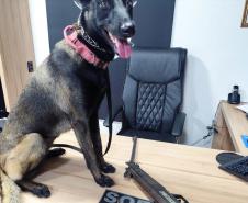 Polícia Penal do Paraná