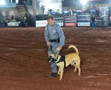 Polícia Penal do Paraná